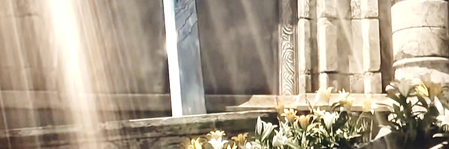 spring_ytk's profile banner image