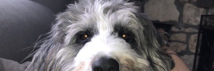 lancerkinger's profile banner image