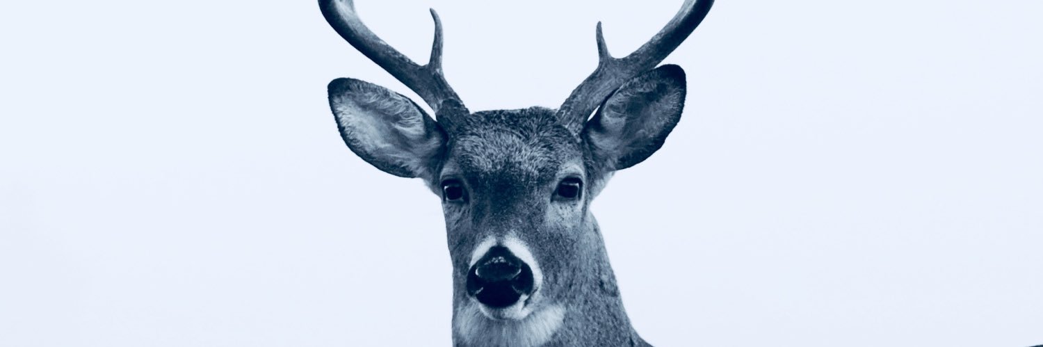 TheRealRhinoHD's profile banner image