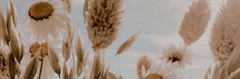 bethssx's profile banner image