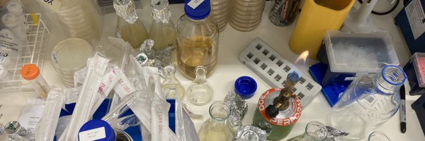 joe_curran1 Profile Banner