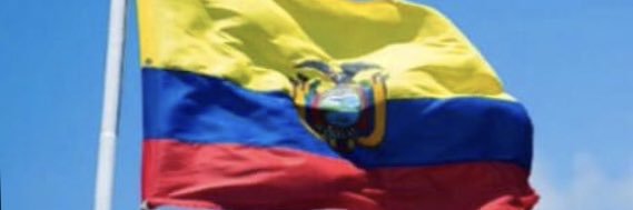 unes_ecuador's profile banner image