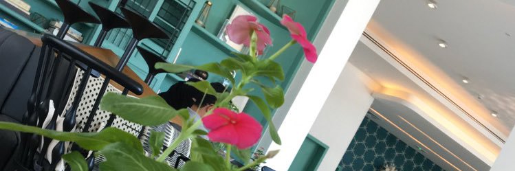 SSK08584633's profile banner image
