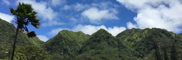 Ryukyu808 Profile Banner