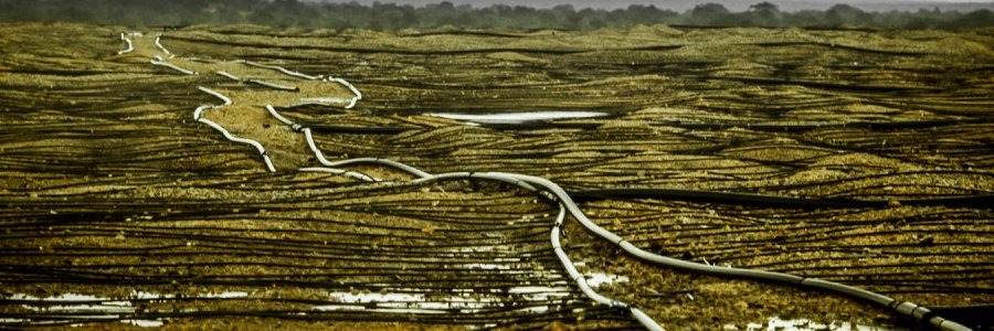 Alexandra Readhead banner