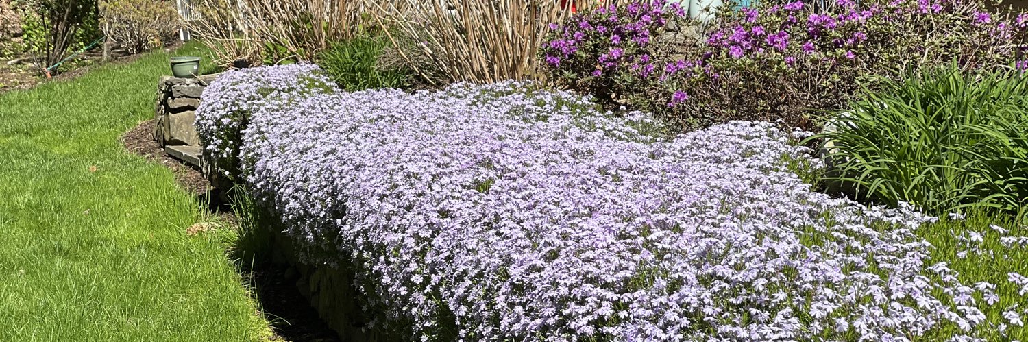 Kapil Meleveedu banner