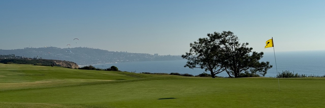 Brian Weinstein banner
