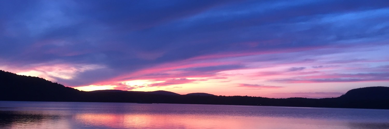 sbrivard's profile banner image