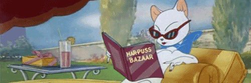 diarrahfall's profile banner image