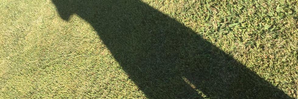 Gordon Gregory banner