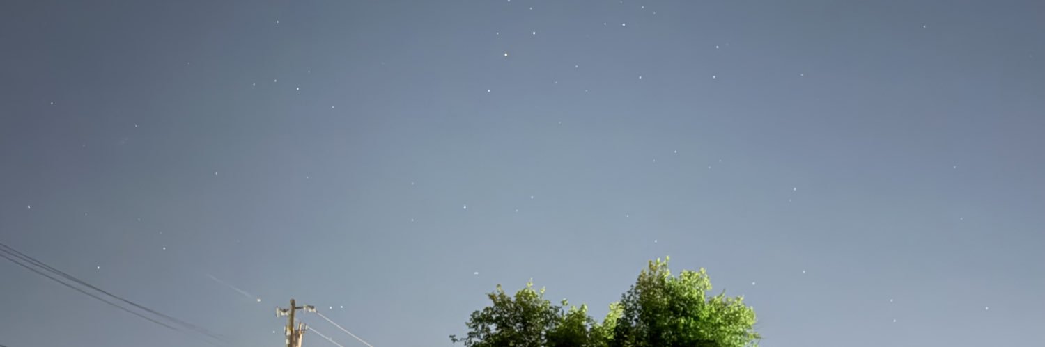 the return of turkish roy banner