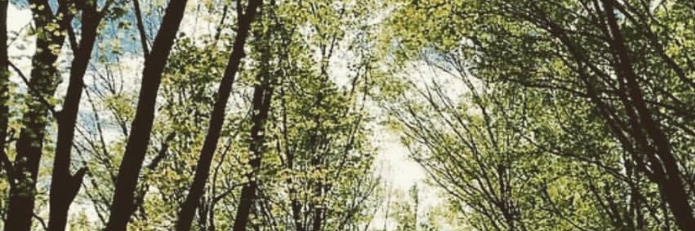 ewallyy's profile banner image