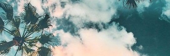 TEDL0's profile banner image