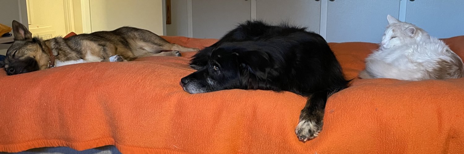 Birgit 🇩🇰 🇬🇱🇫🇴🇪🇺🏳️‍🌈🏳️‍⚧️ banner