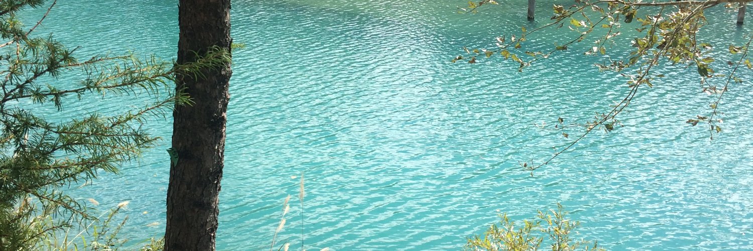 Peace_exe's profile banner image