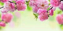 deemiii94's profile banner image