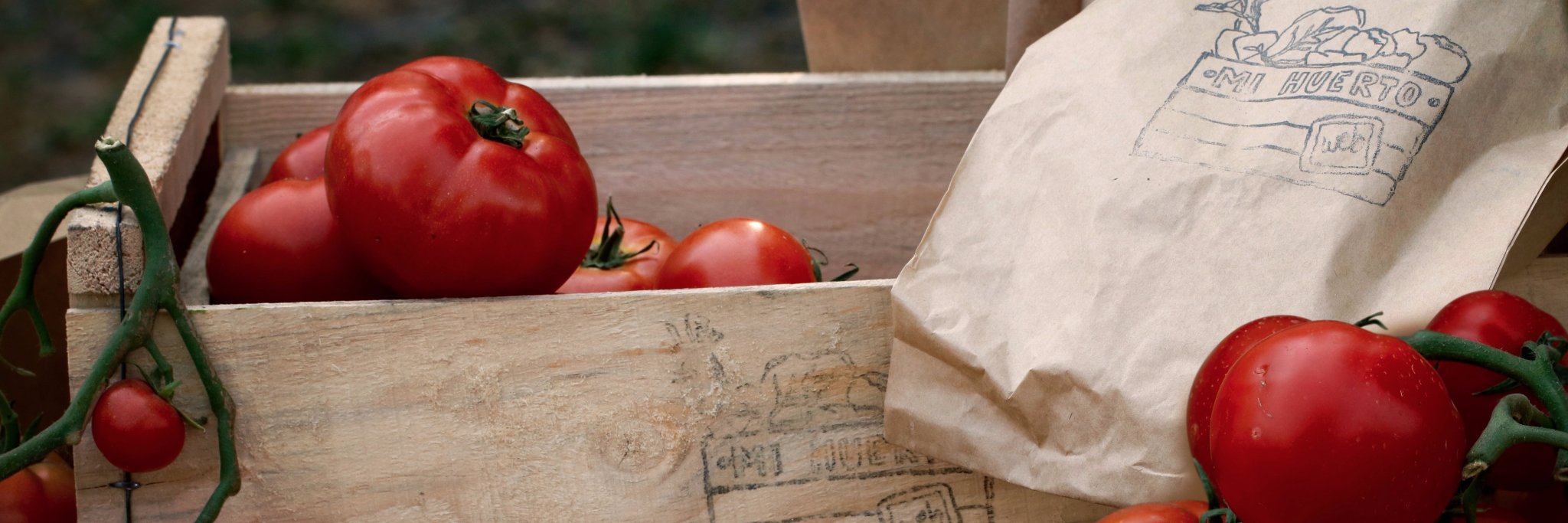 Mi Huerto Web banner