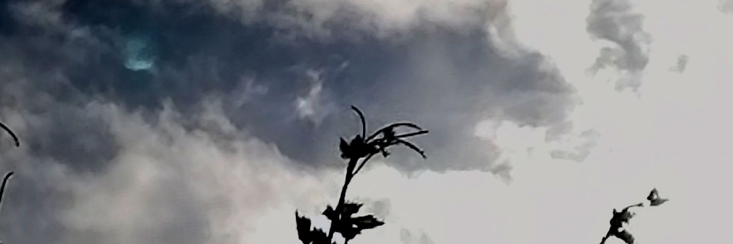 chilenischi's profile banner image