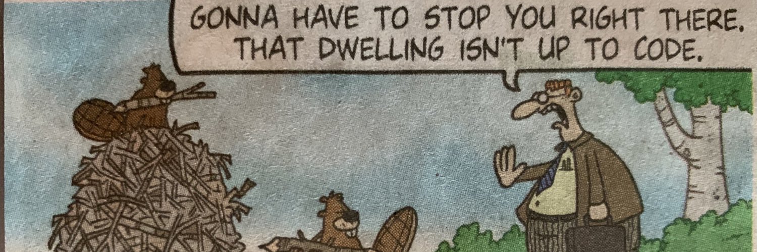 vanessa brown calder banner