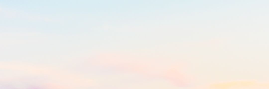 wndydm's profile banner image