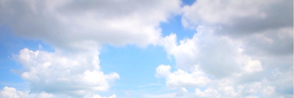 melssalin's profile banner image