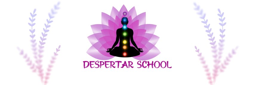 DespertarSchool's profile banner image