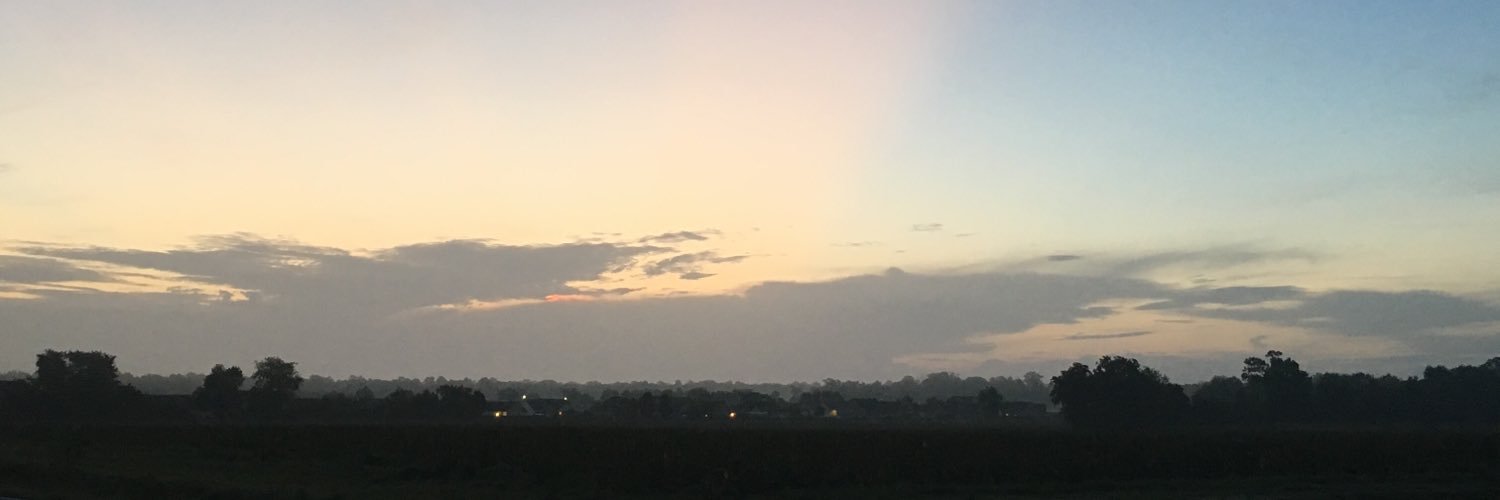 silvia_semaj's profile banner image