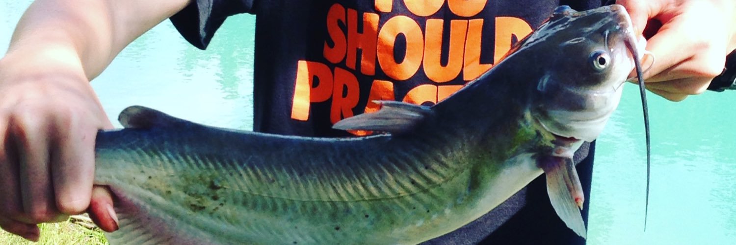 101fishforlife's profile banner image