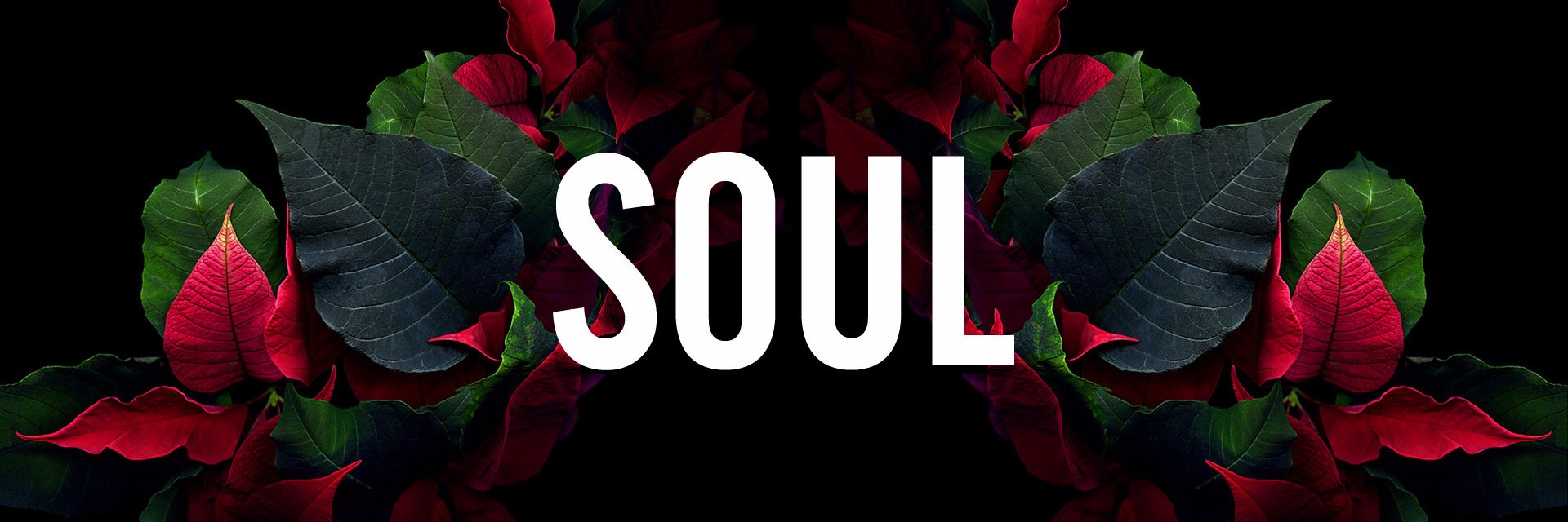 Multimcs's profile banner image