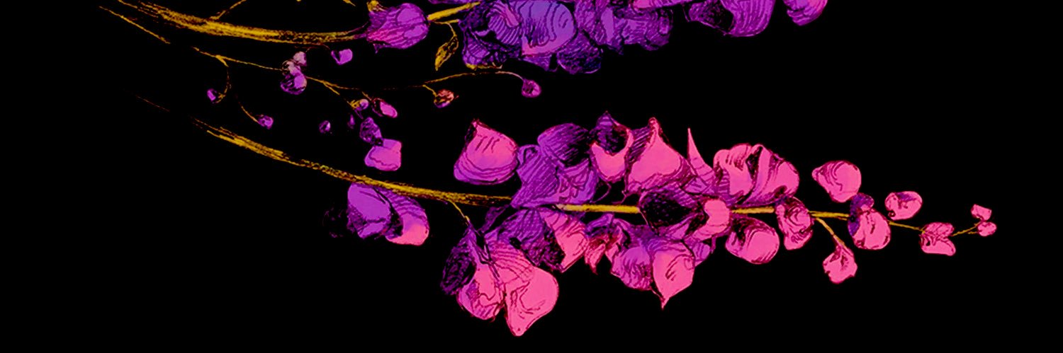 ruubyrod's profile banner image