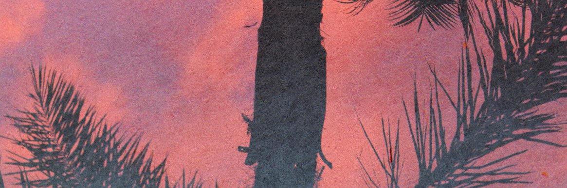 Angus Luke banner