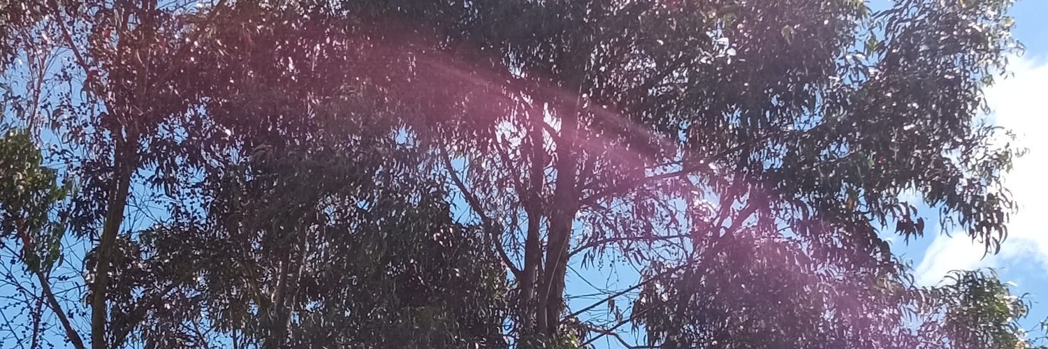 Nathytana's profile banner image