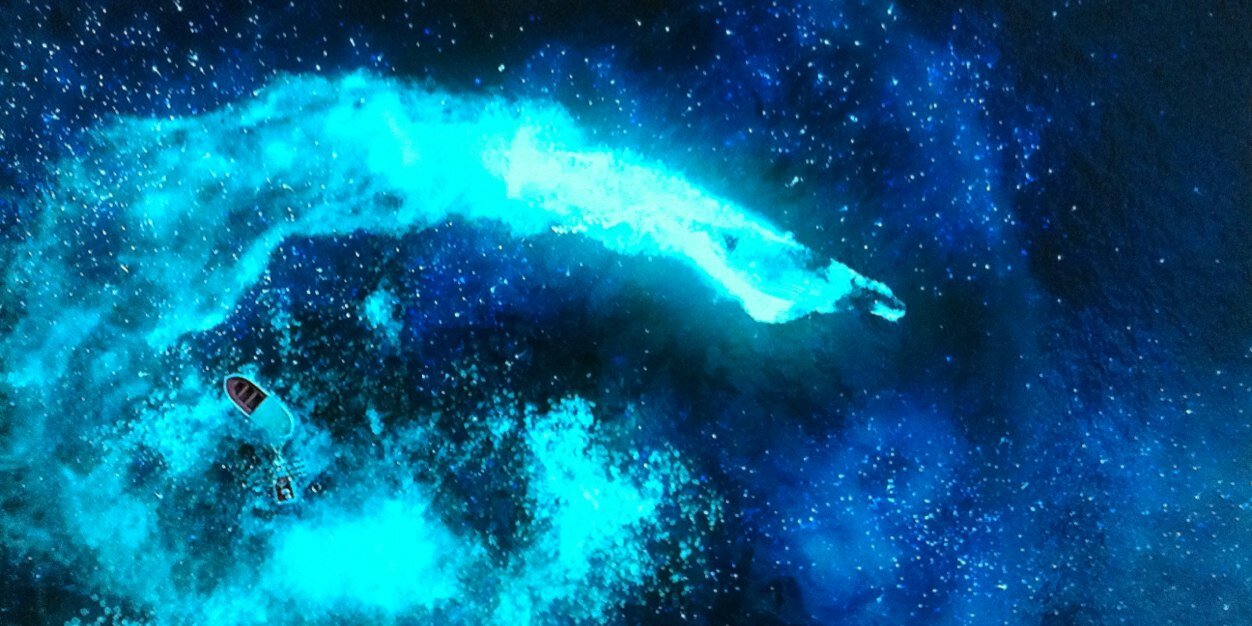 banillablues's profile banner image