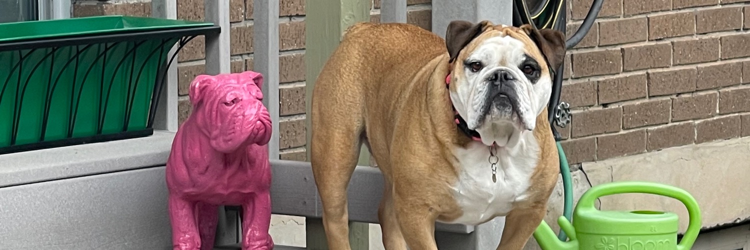 A L Magleby,❤️🇺🇸🙏🏻 banner