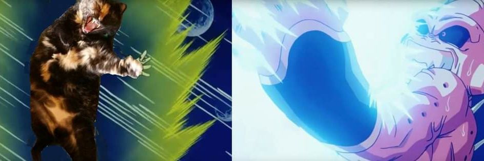 The Evilsizer banner