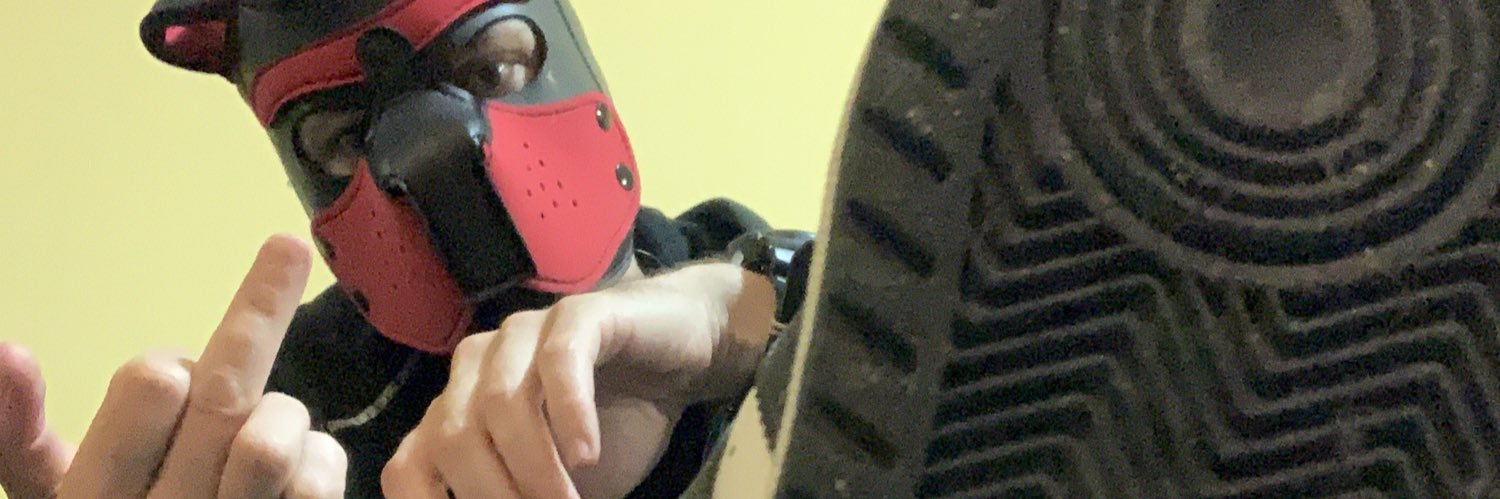 Jack Logan Fox banner