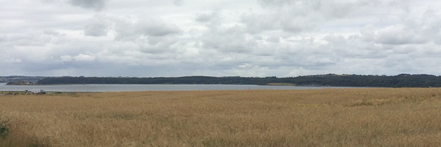 Thomas Gam Nielsen banner