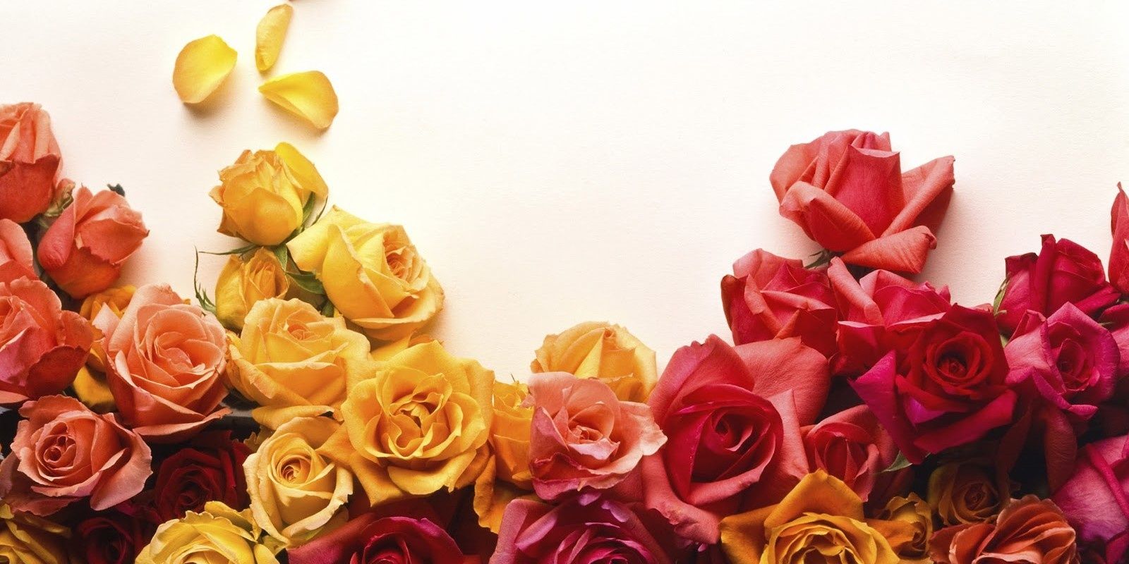 indahrp_'s profile banner image