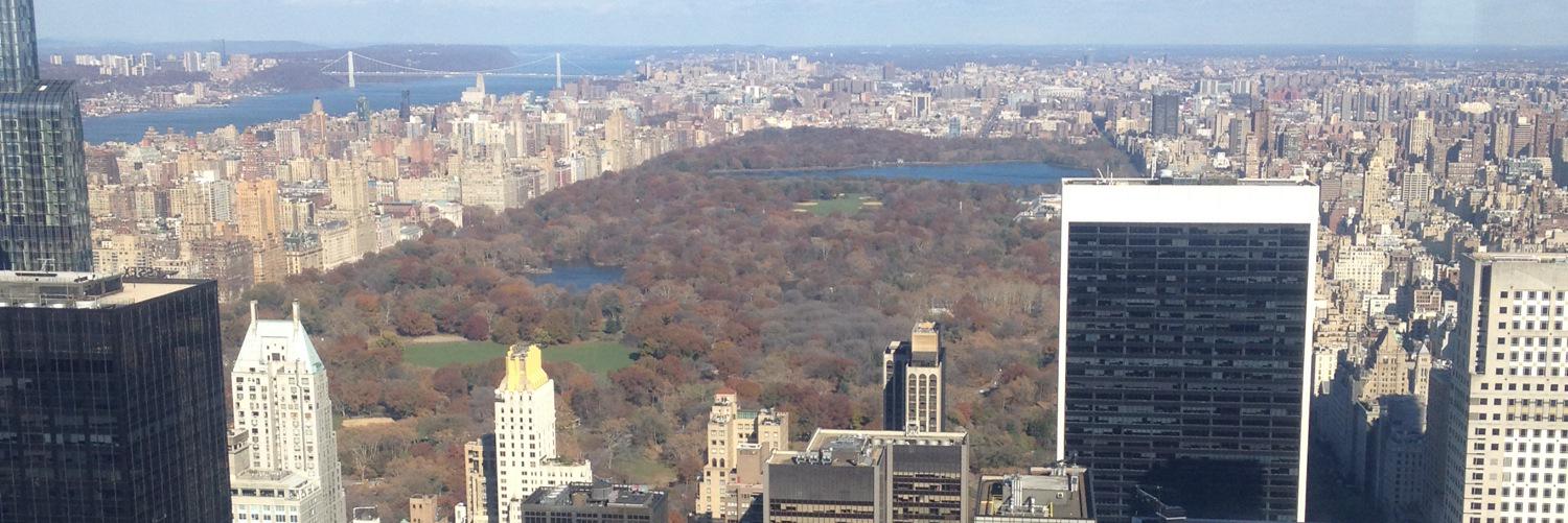 Callum Gogerly banner