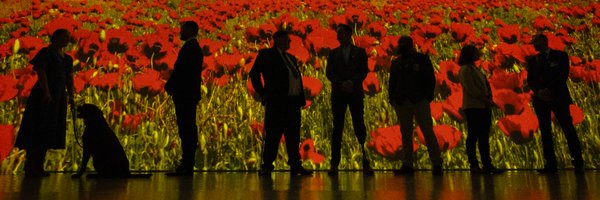 PoppyLegion Profile Banner