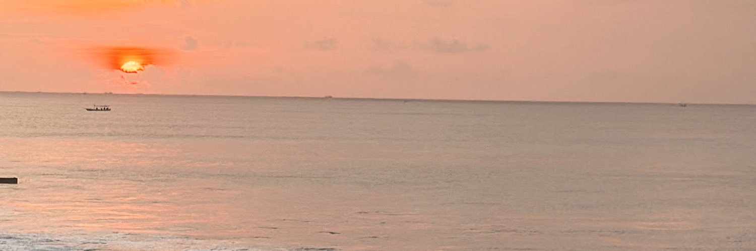 :'s banner
