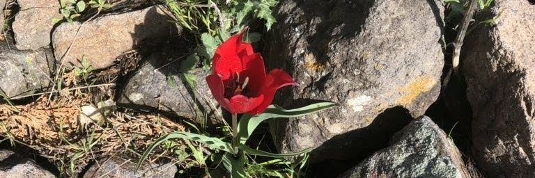 ekber_topal's profile banner image