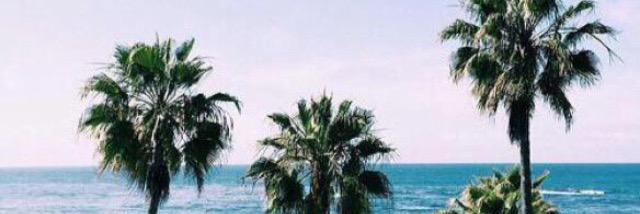 taylor_hymas's profile banner image