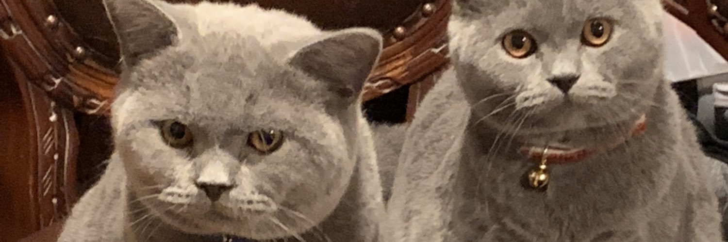 Louis Amadeus 🌈. Davis 🌈 Duke now tweeting. banner