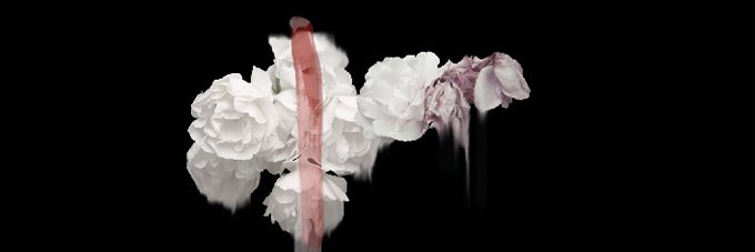 t_joelle's profile banner image