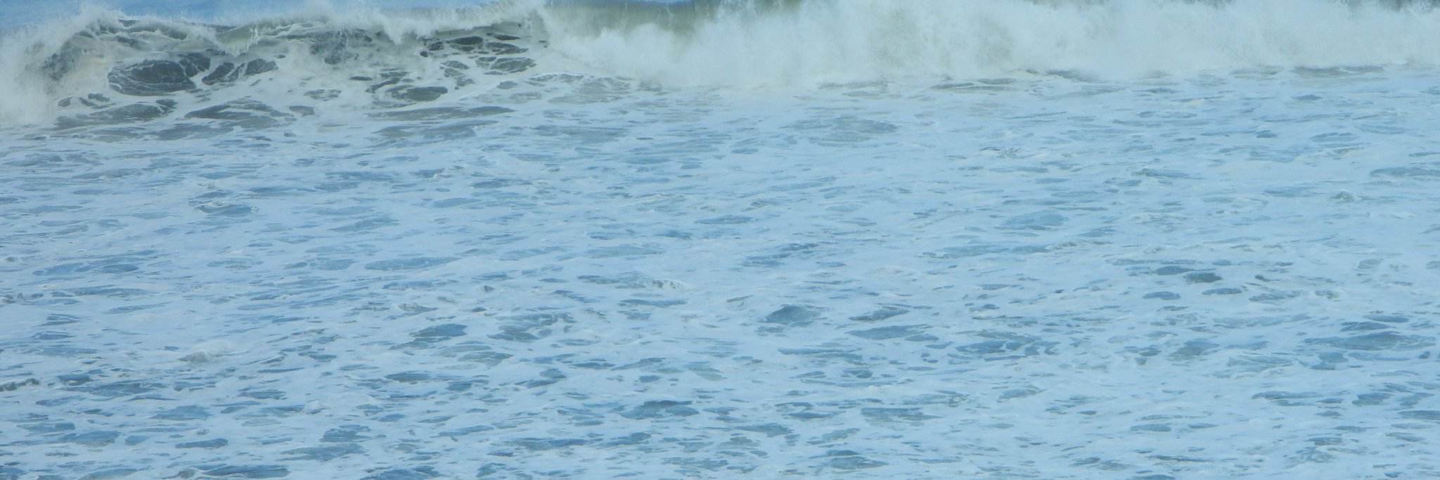 aparna0102's profile banner image