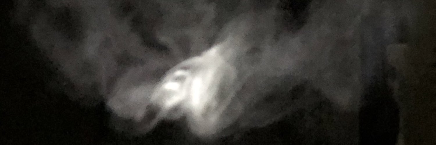crazyladySCREAM's profile banner image