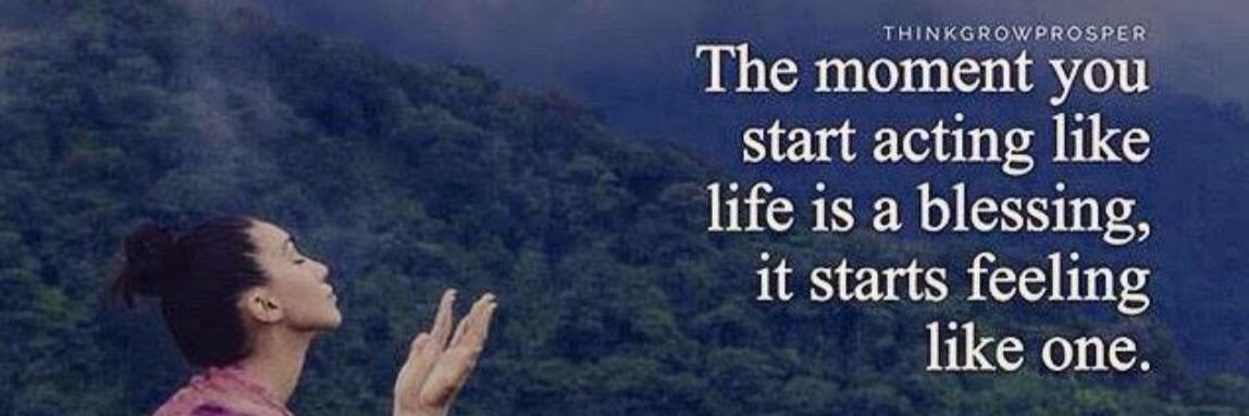 Stefanie Gernhard banner