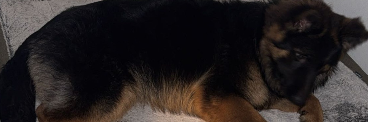 badgalemem's profile banner image