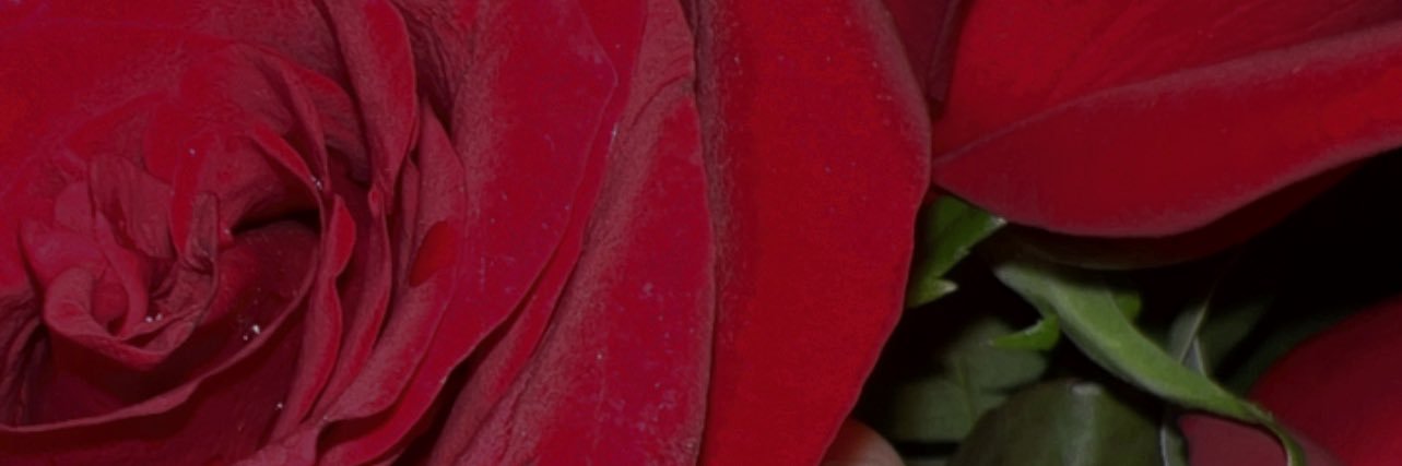 vaniav_28's profile banner image